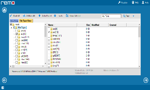 View Recovered Access files window